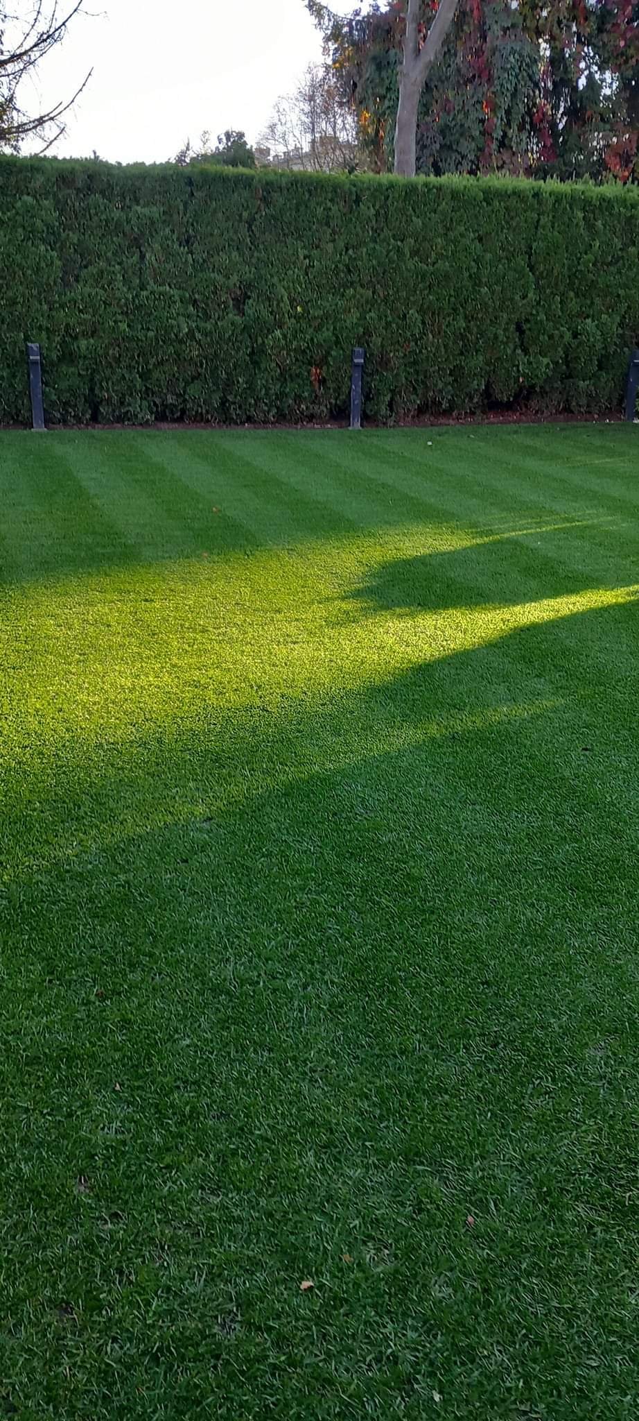 Realizacja ogrodowa - pielęgnacja trawnika