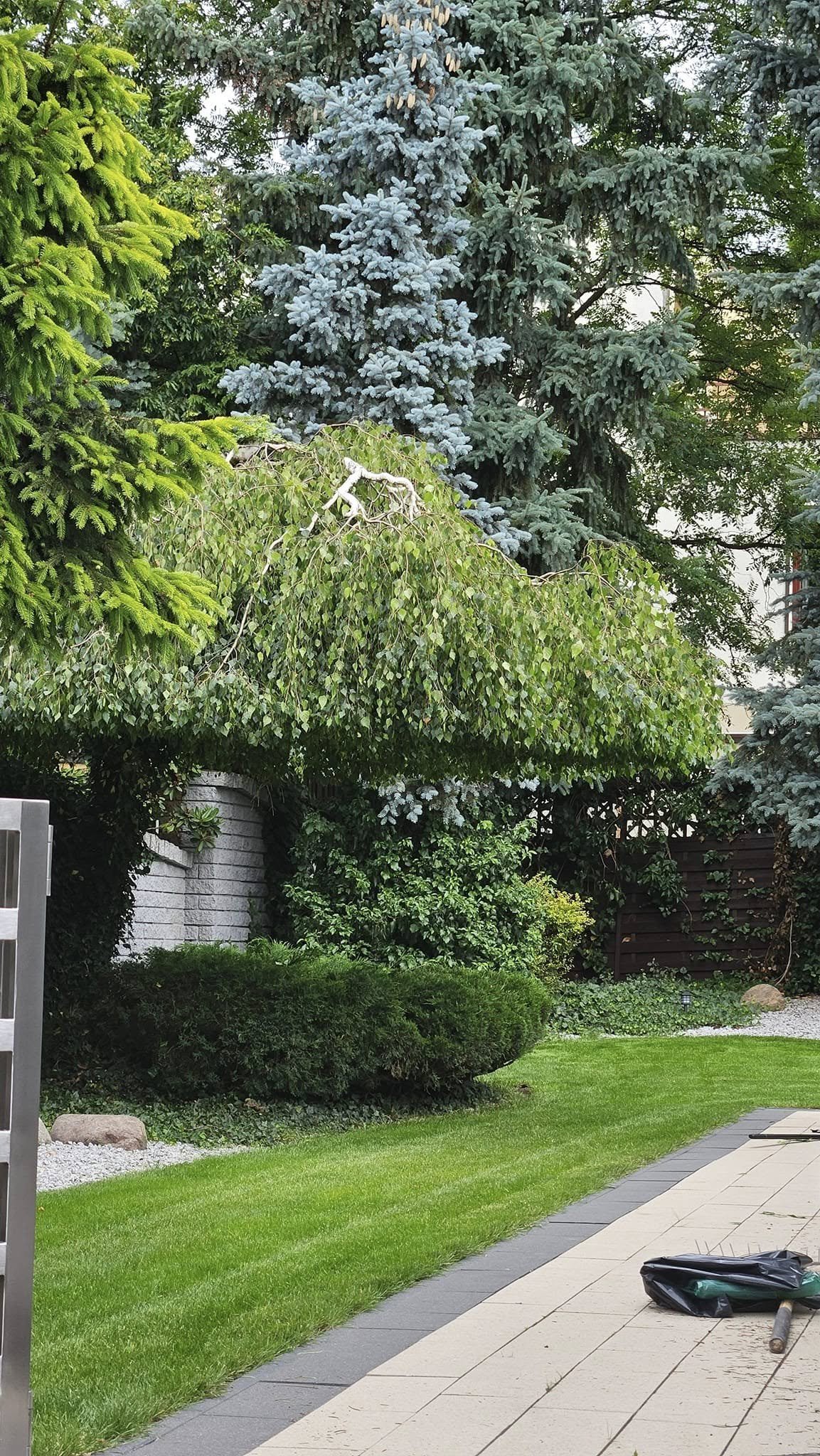 Realizacja ogrodowa - tereny wspólnot