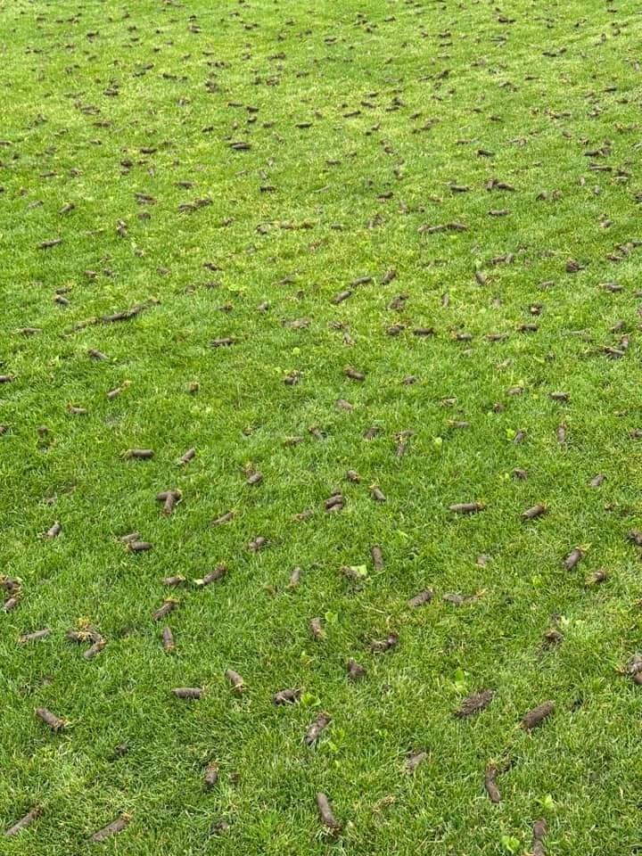 Realizacja ogrodowa - rabaty i skalniaki