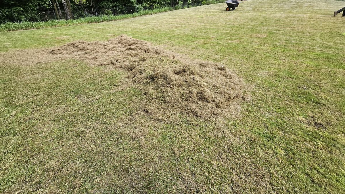 Realizacja ogrodowa - gotowy projekt