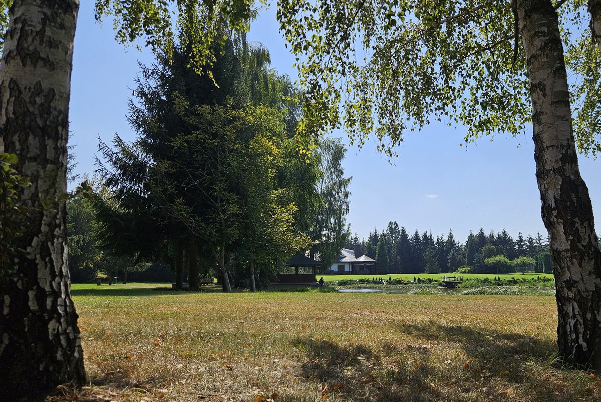 Realizacja ogrodowa - pielęgnacja terenów zielonych