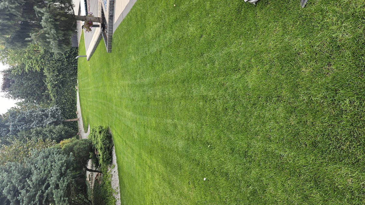 Realizacja ogrodowa - przycinanie krzewów