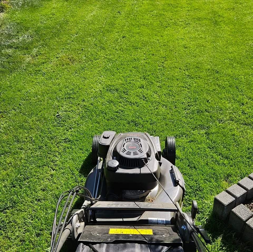 Realizacja ogrodowa - sadzenie drzew