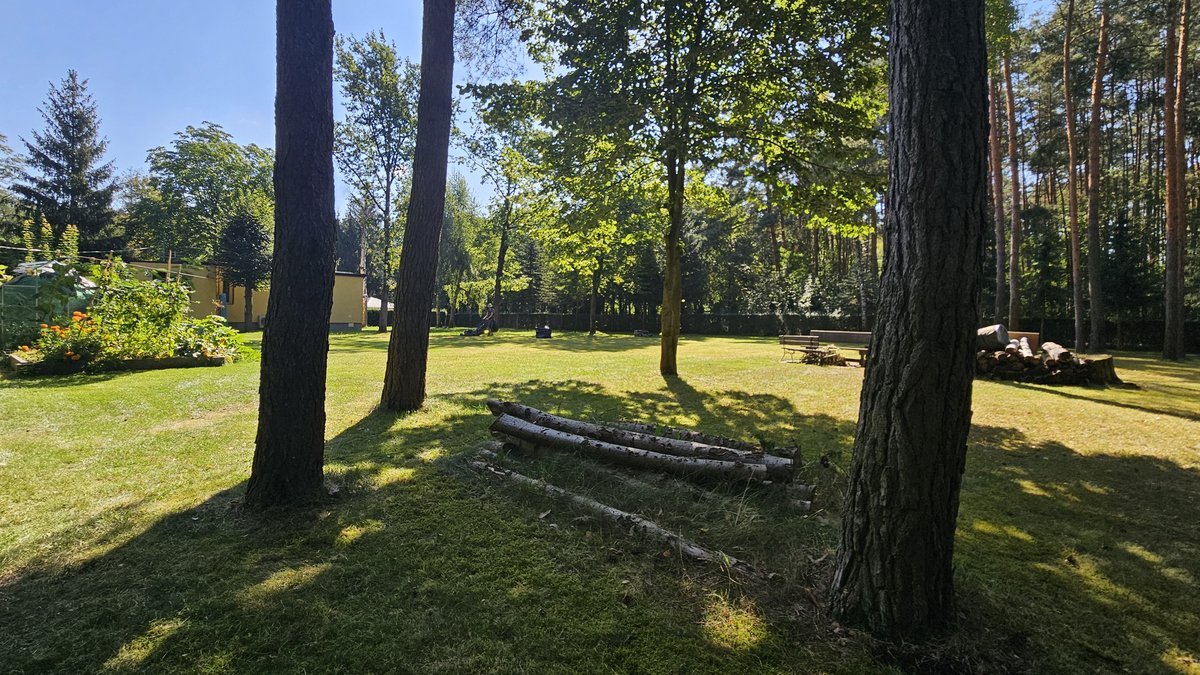 Realizacja ogrodowa - prace brukarskie