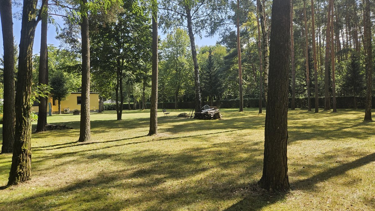 Realizacja ogrodowa - koszenie trawnika